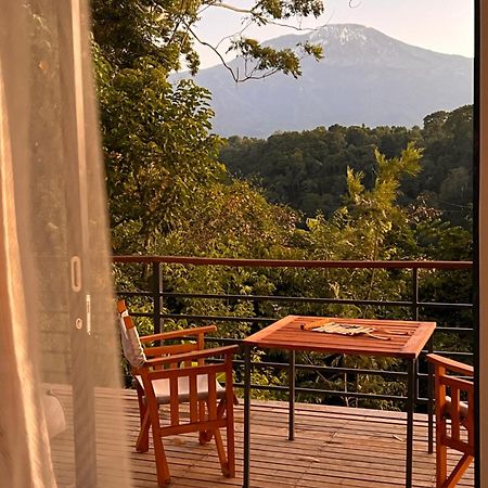 Kaliwa Lodge Moshi Buitenkant foto