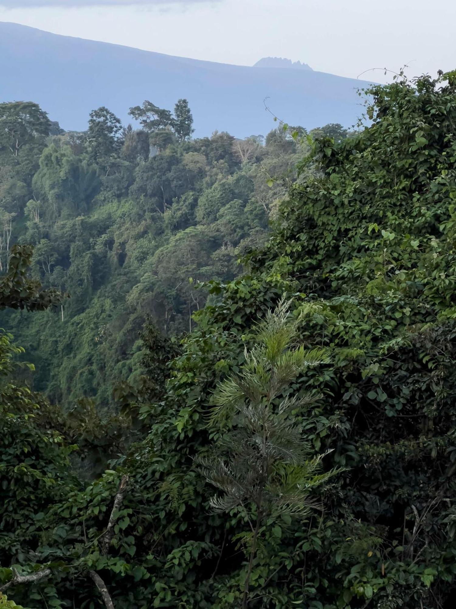 Kaliwa Lodge Moshi Buitenkant foto