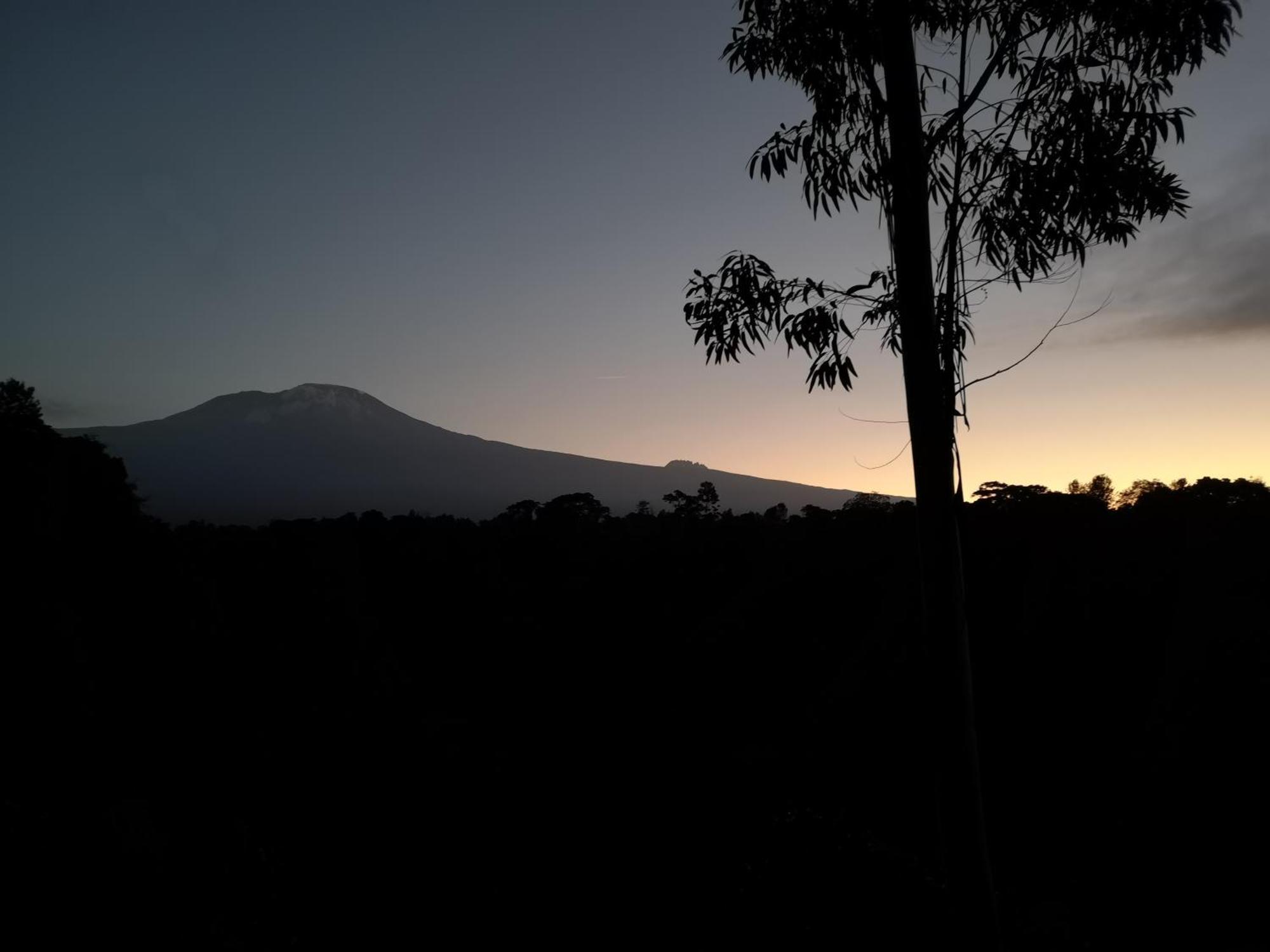 Kaliwa Lodge Moshi Buitenkant foto