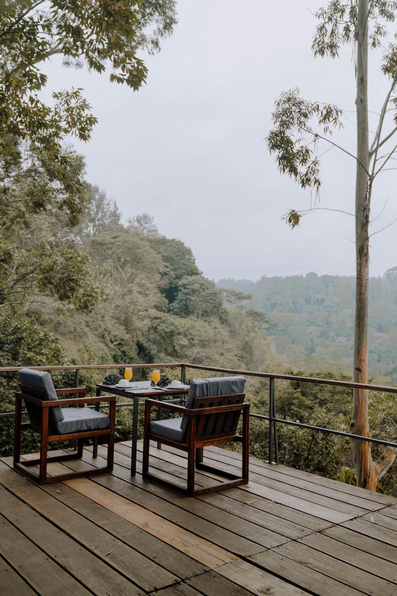 Kaliwa Lodge Moshi Buitenkant foto