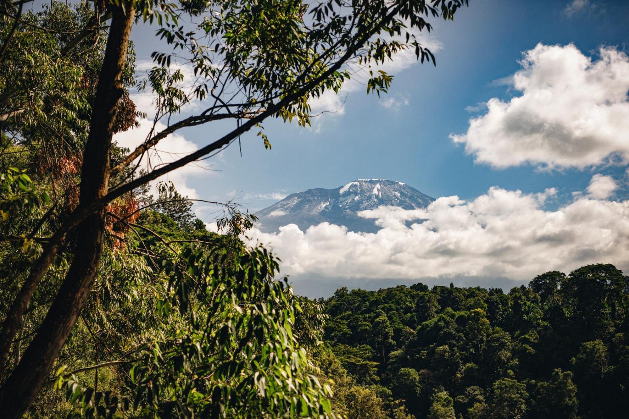Kaliwa Lodge Moshi Buitenkant foto