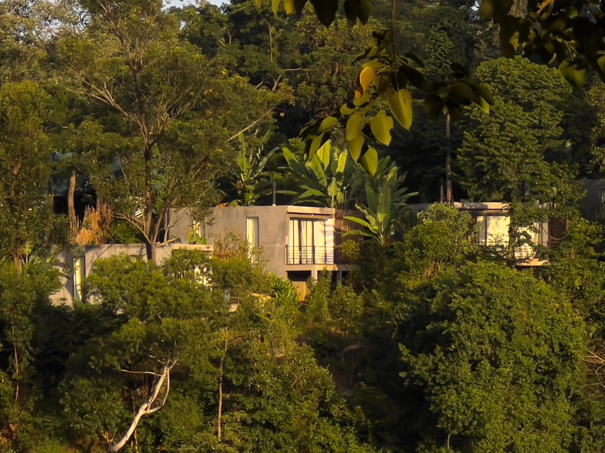 Kaliwa Lodge Moshi Buitenkant foto