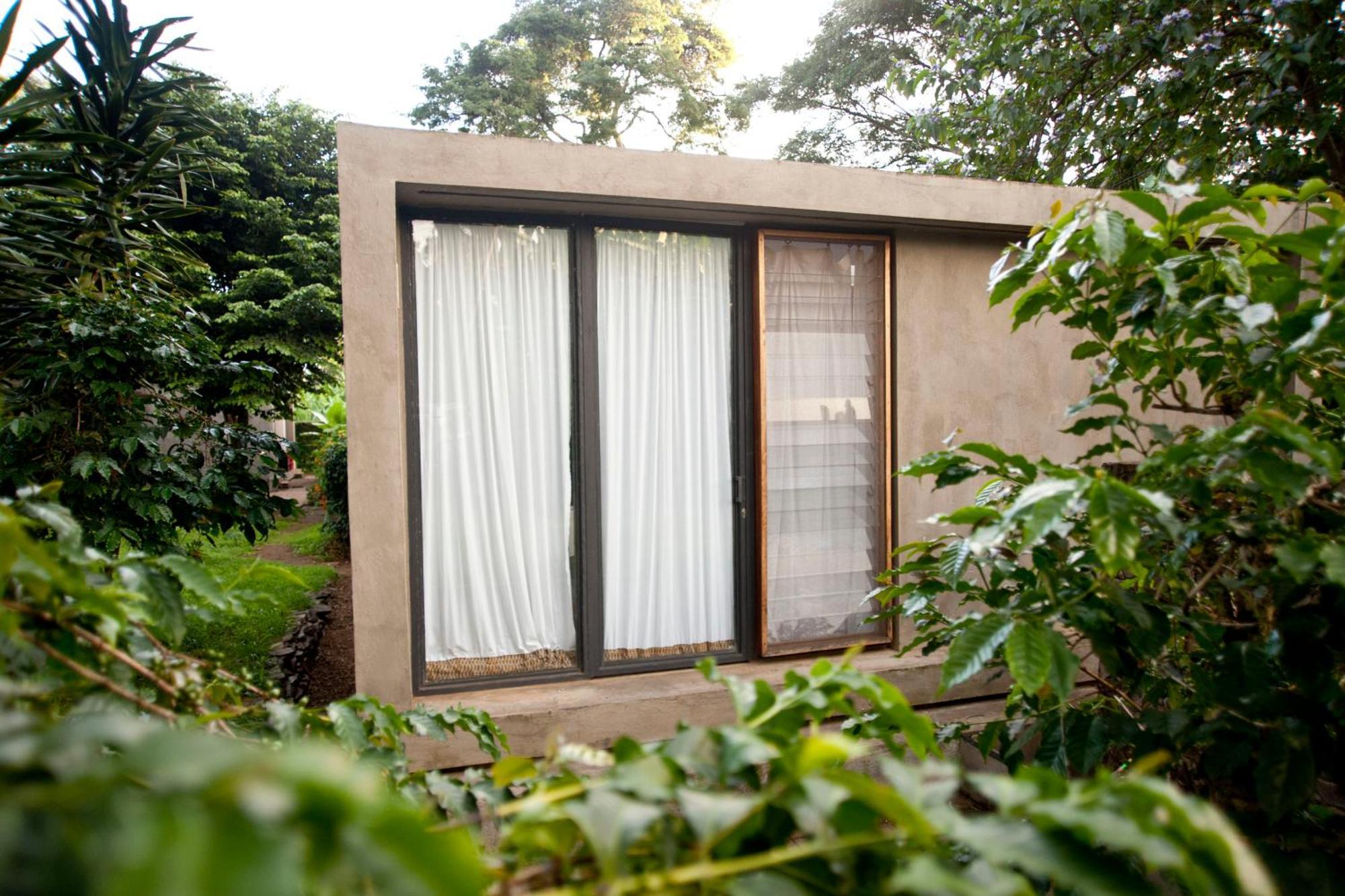 Kaliwa Lodge Moshi Kamer foto