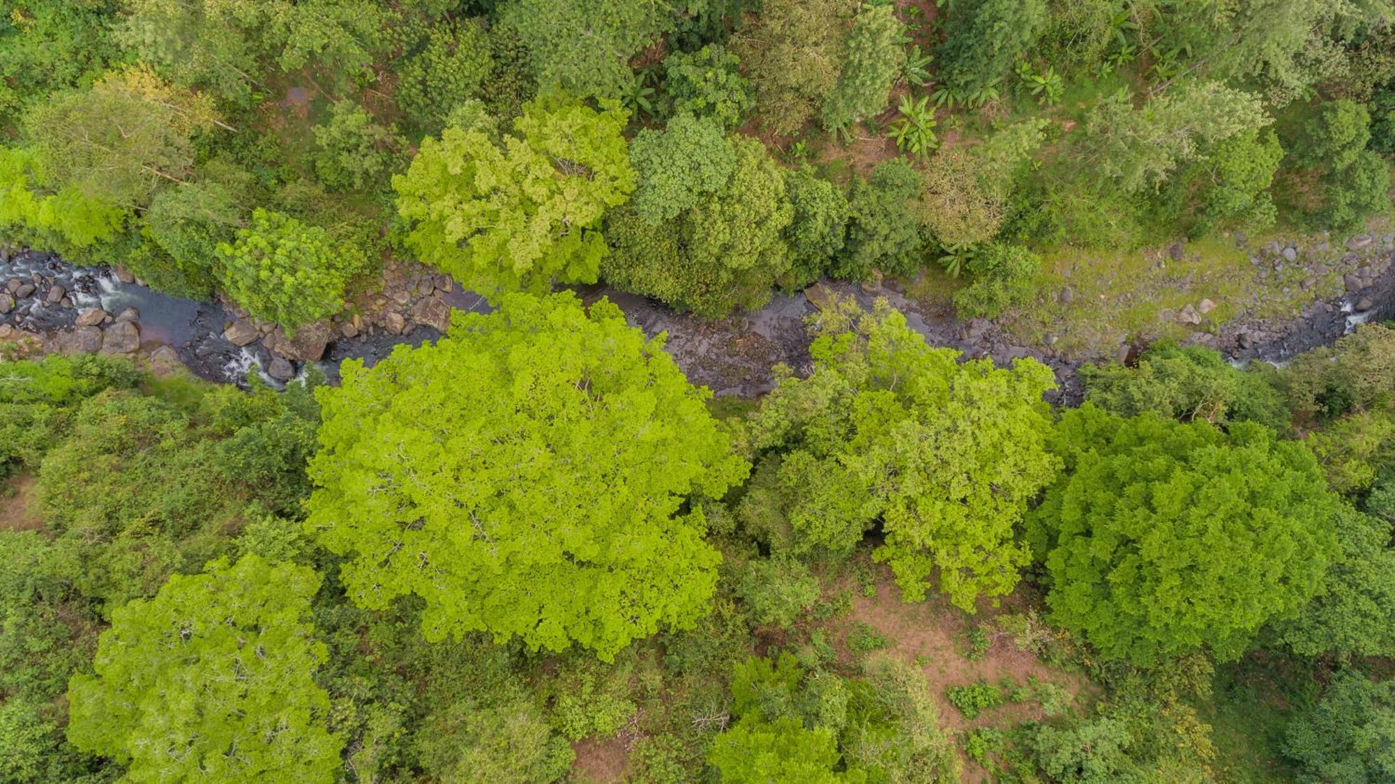 Kaliwa Lodge Moshi Buitenkant foto